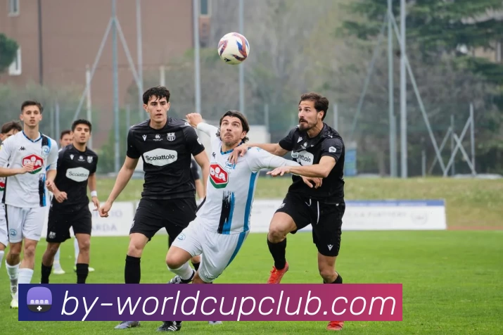 世俱杯线上平台品牌故事